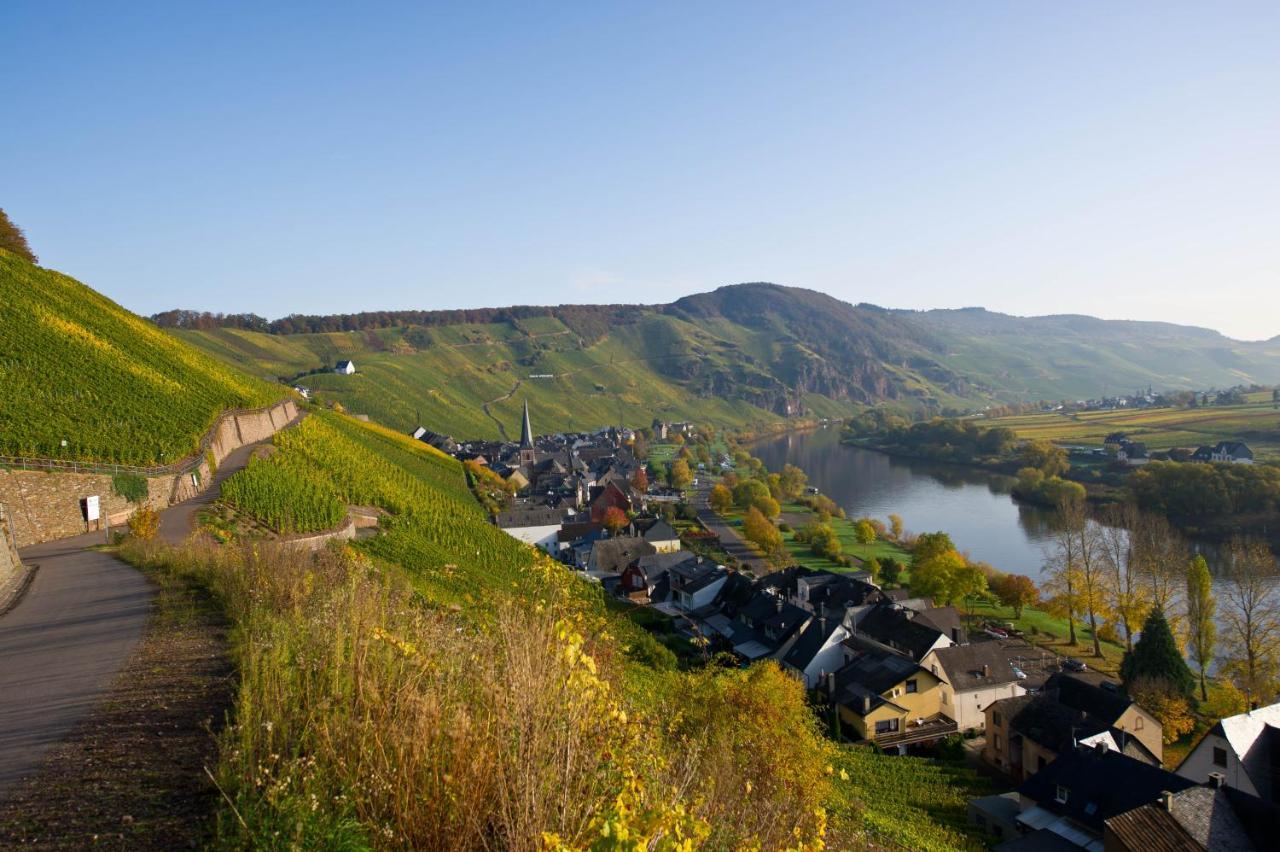 Gaestehaus C.H.Berres Uerzig-Mosel Dış mekan fotoğraf